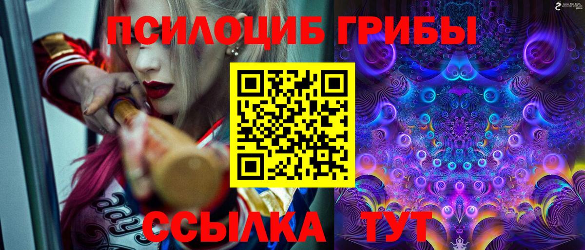 Псилоцибиновые грибы MAGIC MUSHROOMS  Вход с VPN  Новошахтинск 